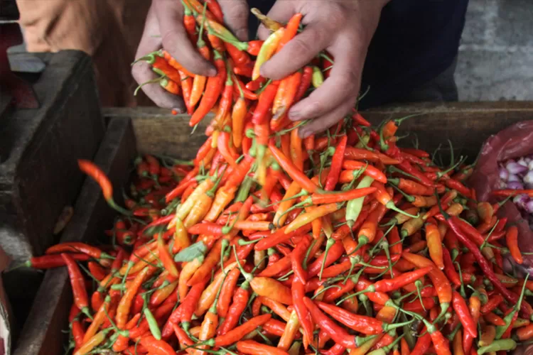 Harga Ayam dan Cabai Rawit Kian Menggigit Awal Pekan Ini