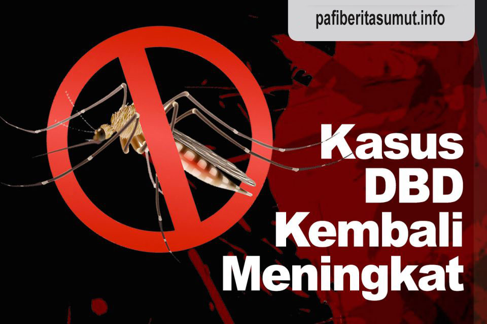 Kasus Demam Berdarah di Indonesia Meningkat