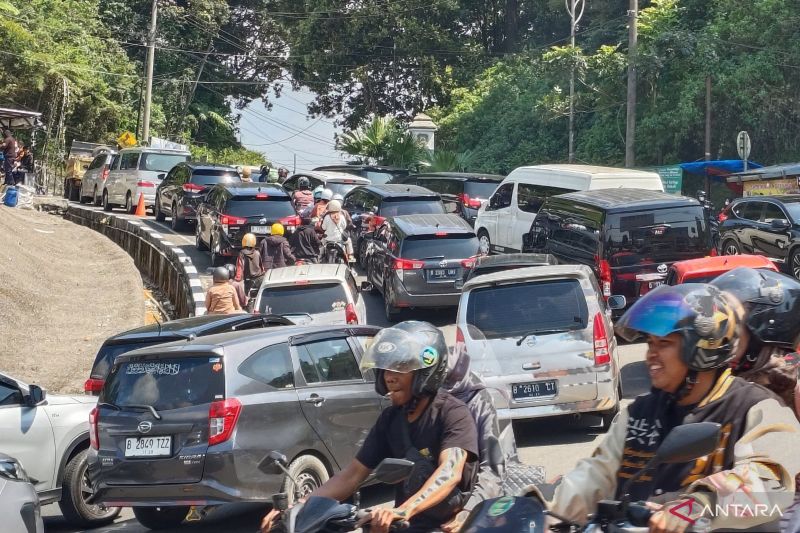 Kemenhub Wacanakan Bus Gratis ke Puncak saat Libur Nataru